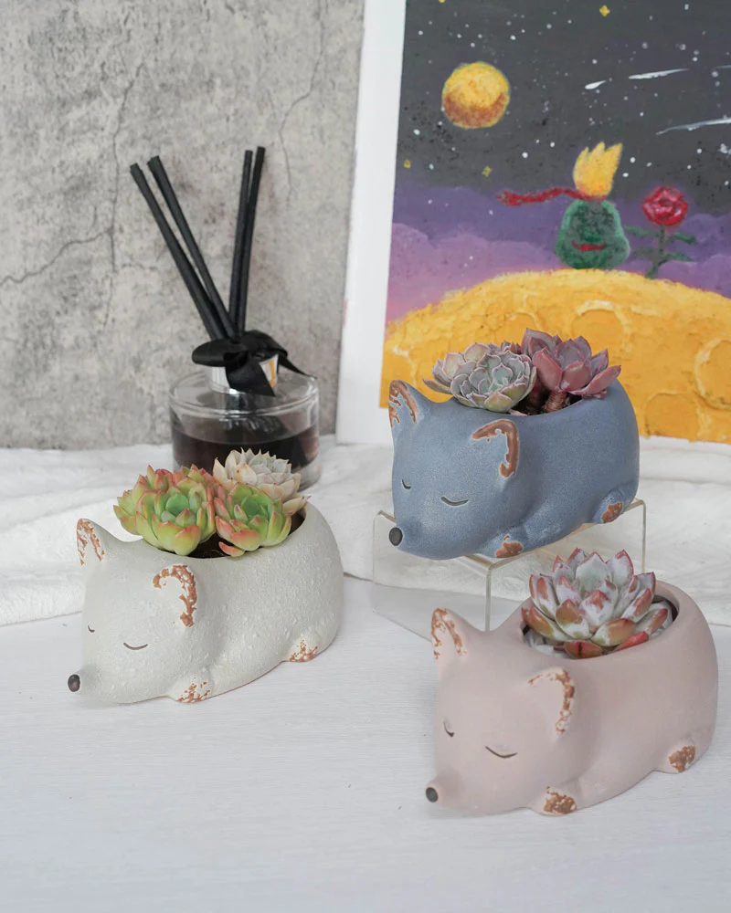Succulent Assortment with Animal Planters - Image 10