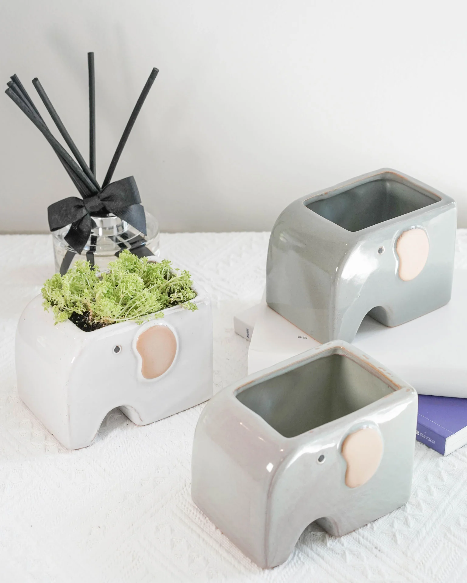 Succulent Assortment with Animal Planters - Image 6