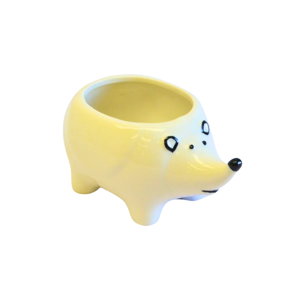 Porcupine White - Image 4