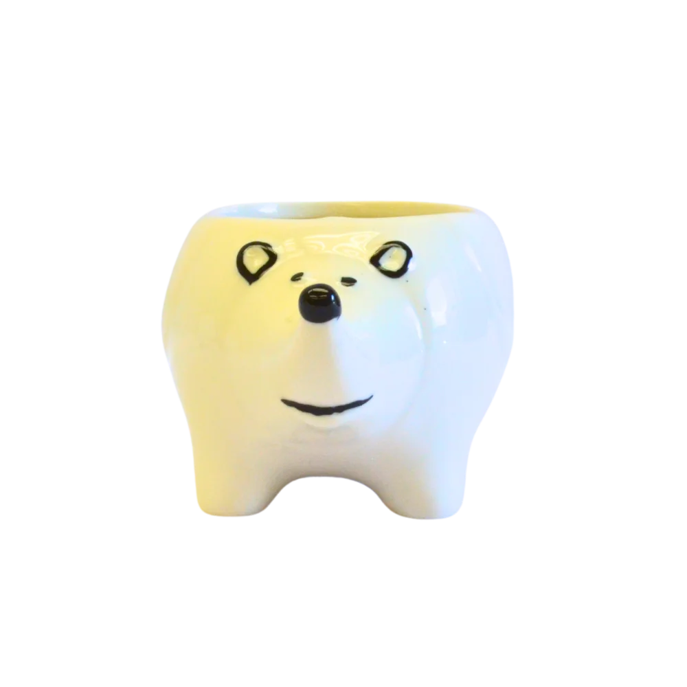 Porcupine White - Image 5
