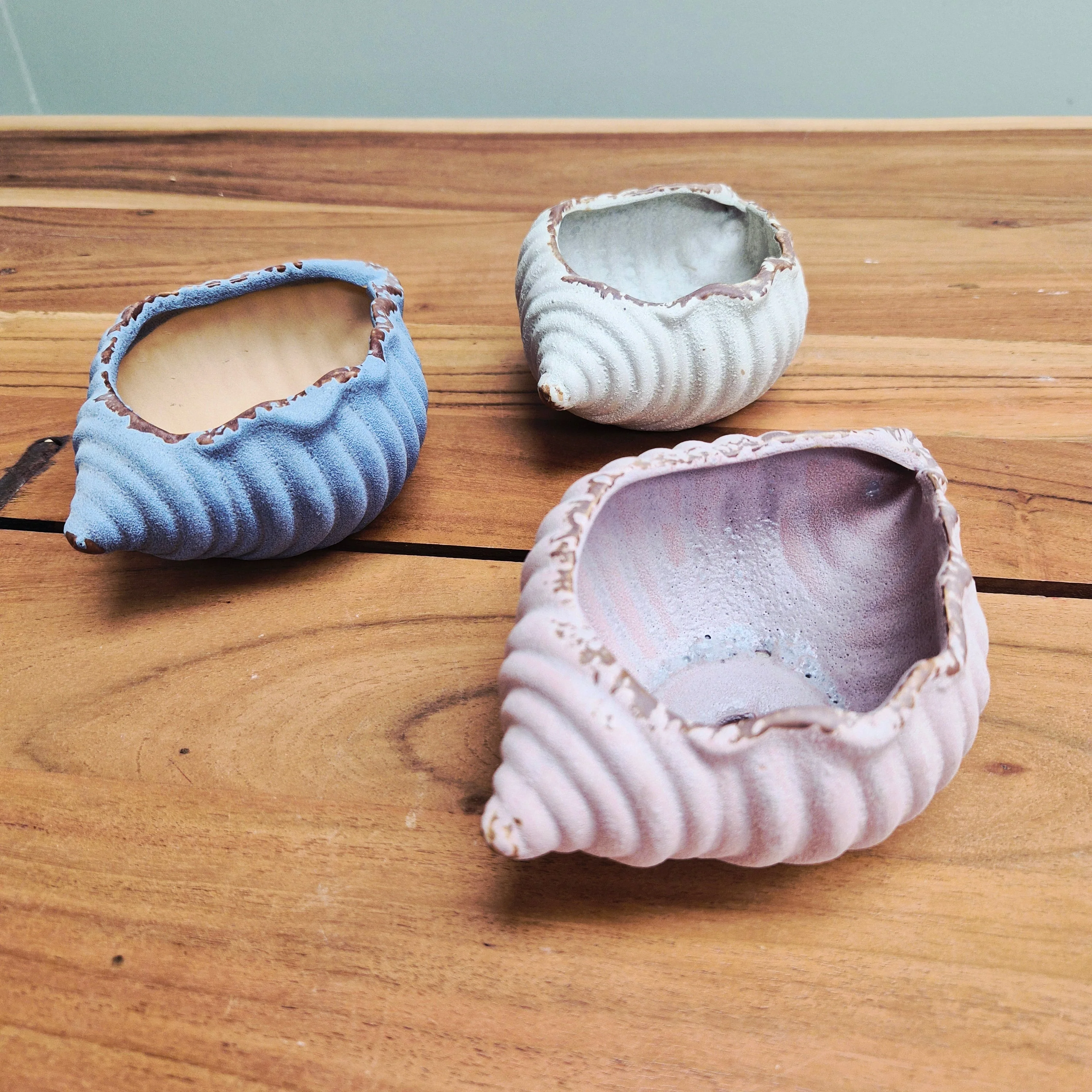 Sea Snail Planter