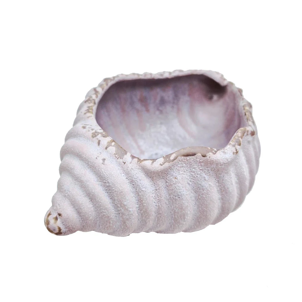 Sea Snail Planter - Image 3