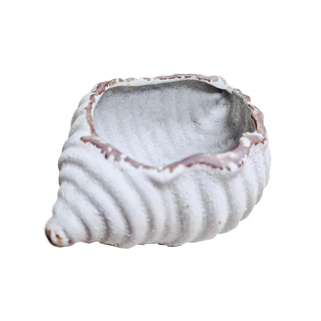 Sea Snail Planter - Image 4
