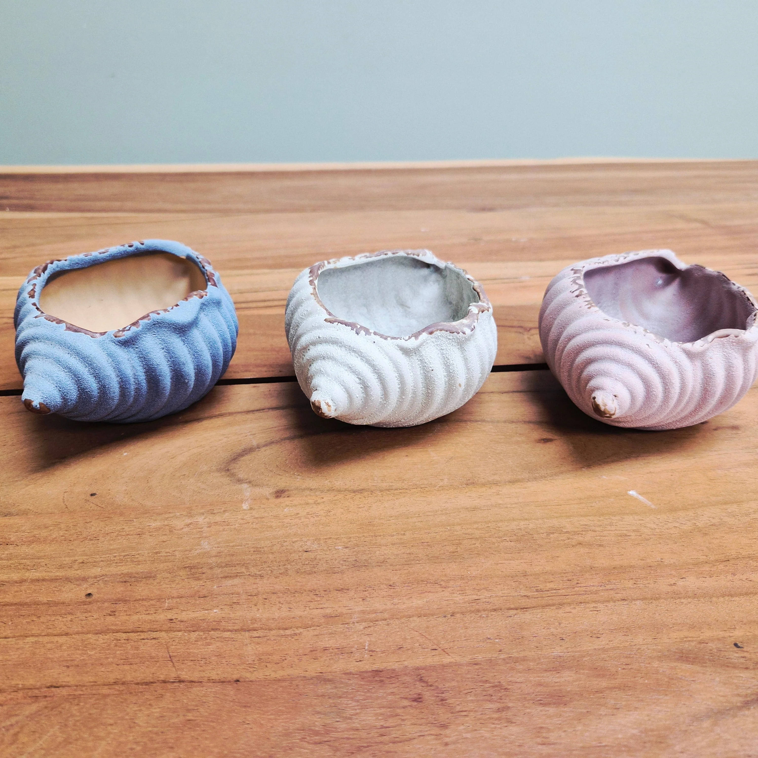 Sea Snail Planter - Image 5