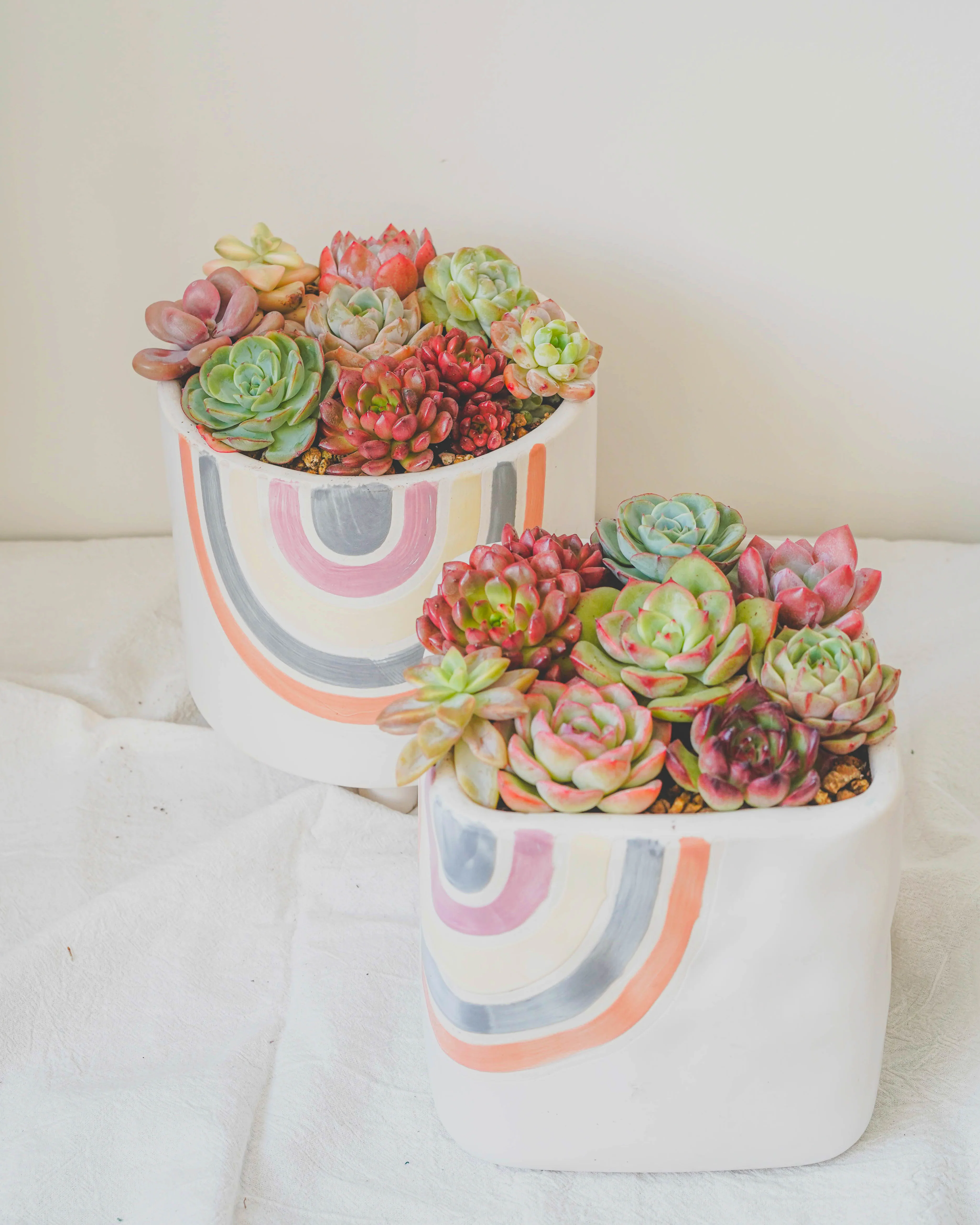 Premium Korean Succulent Arrangement - Image 2