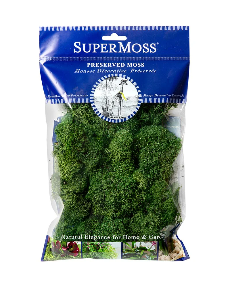 Reindeer Moss 2oz, 120 cu. in. - Image 2