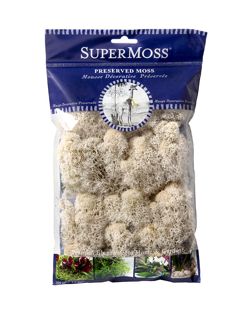 Reindeer Moss 2oz, 120 cu. in. - Image 3