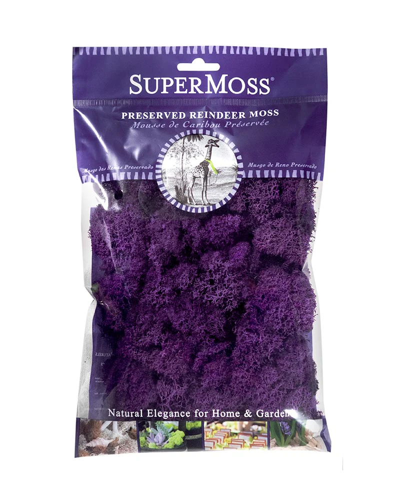 Reindeer Moss 2oz, 120 cu. in. - Image 4