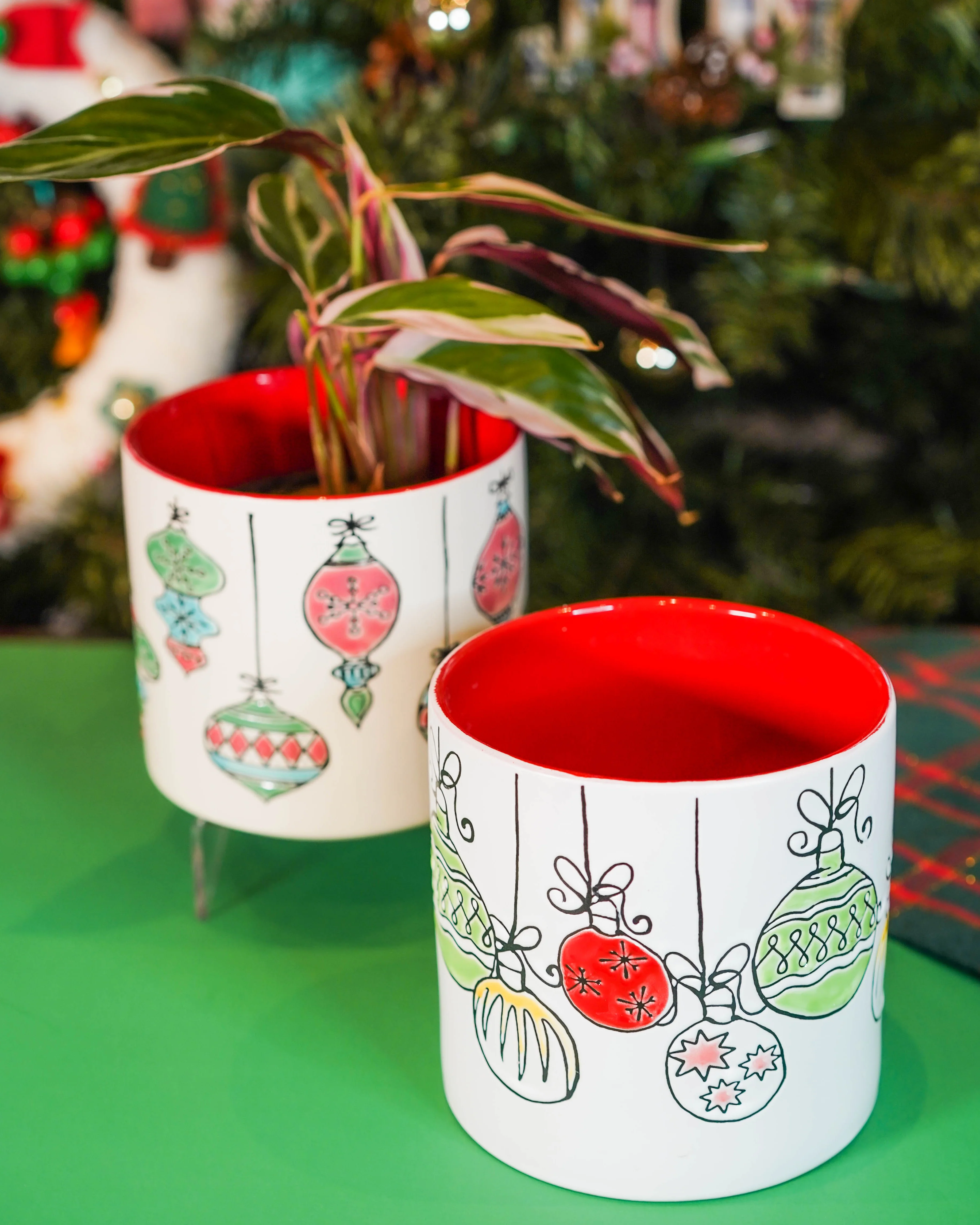 "Holiday Vibes" Houseplant Combo - Gift Bag - Image 2