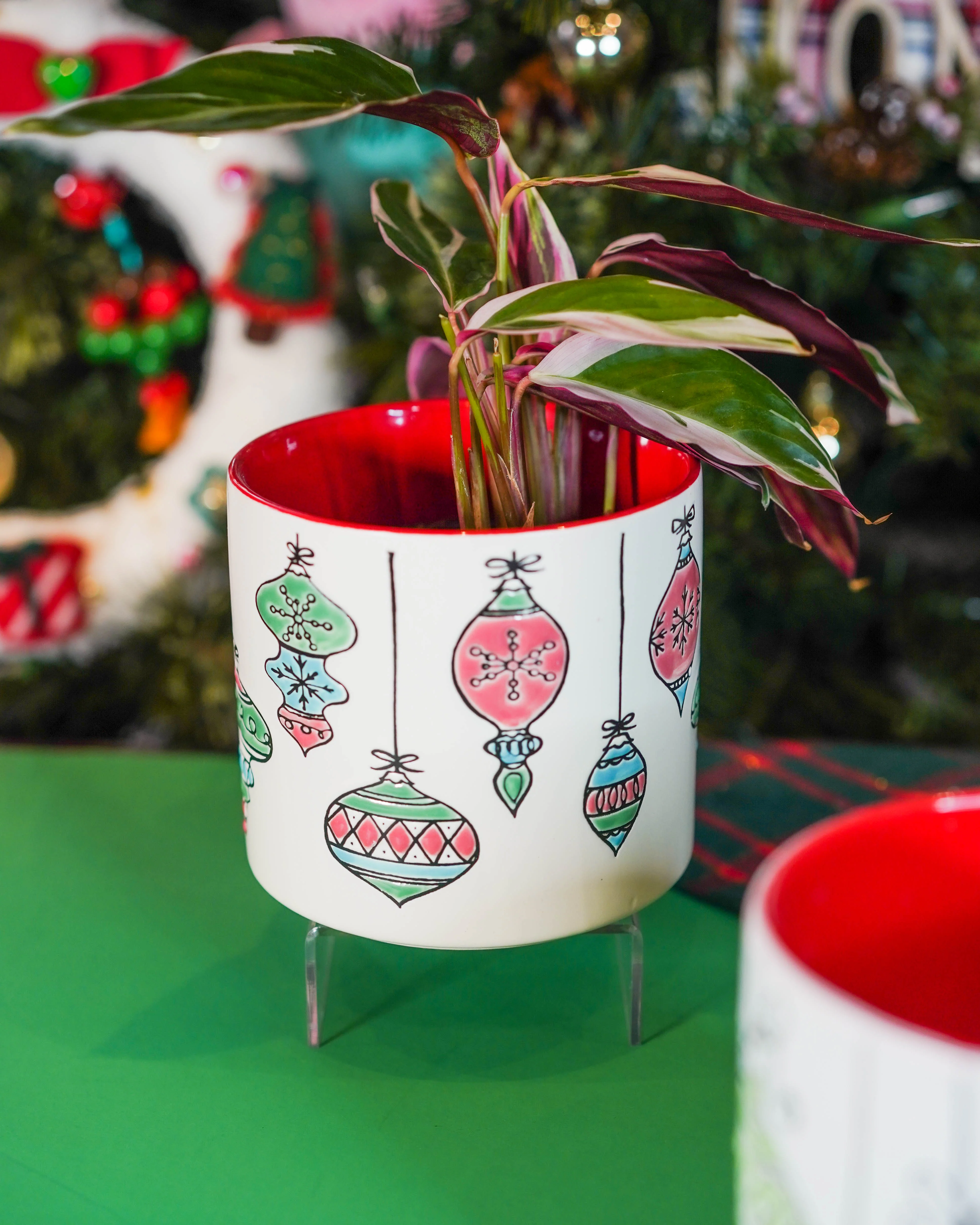 "Holiday Vibes" Houseplant Combo - Gift Bag - Image 3