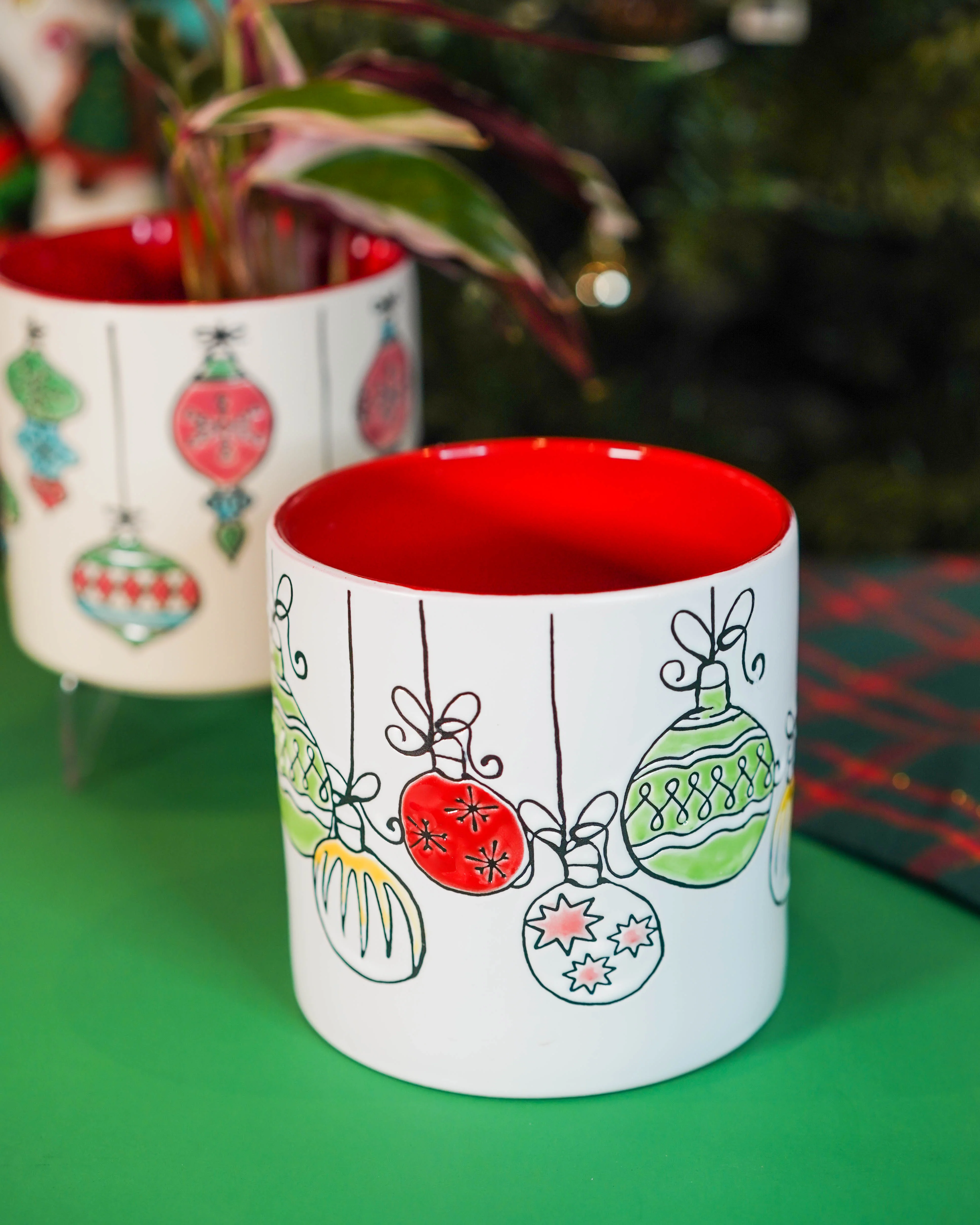 "Holiday Vibes" Houseplant Combo - Gift Bag - Image 4
