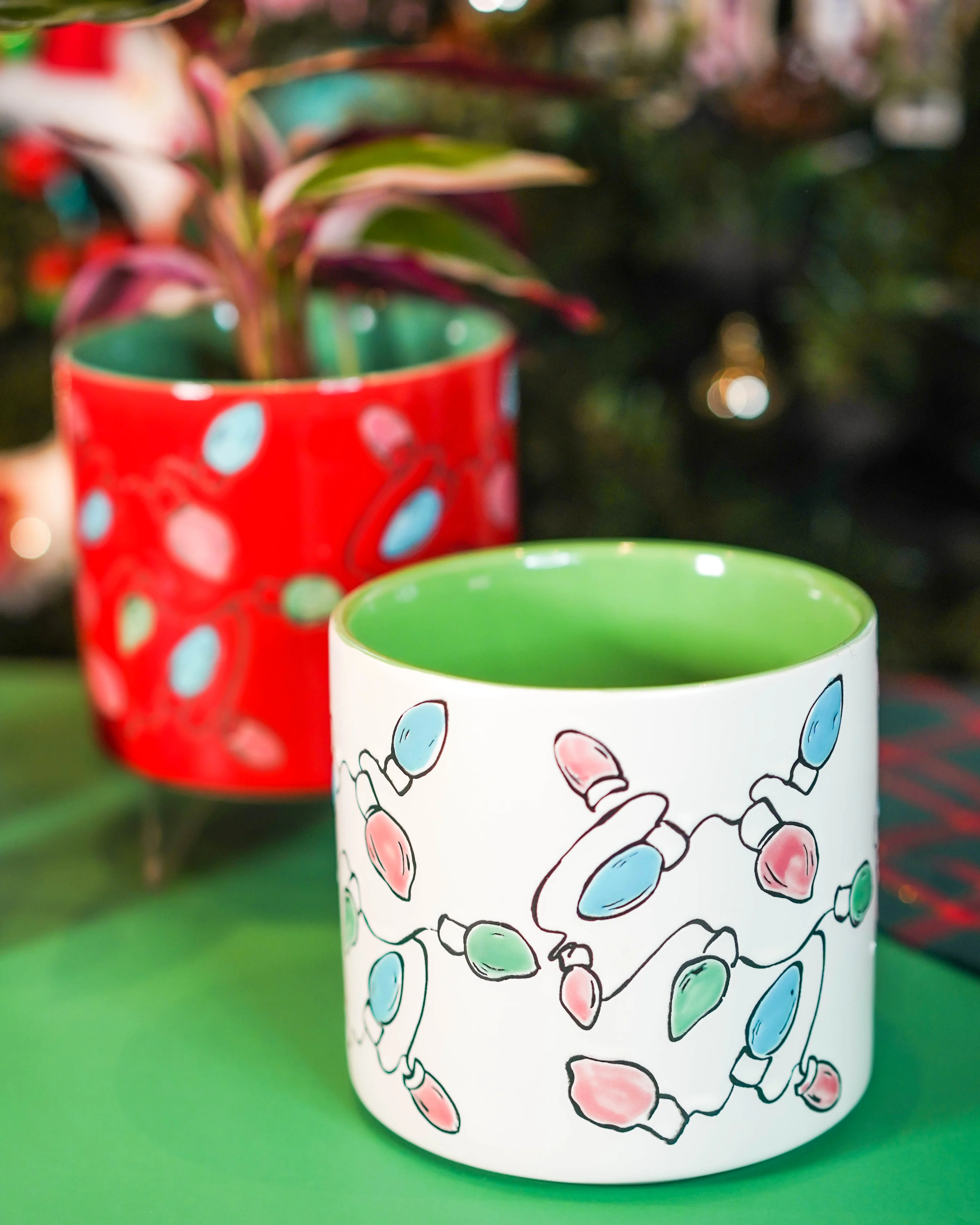 "Holiday Vibes" Houseplant Combo - Gift Bag - Image 5