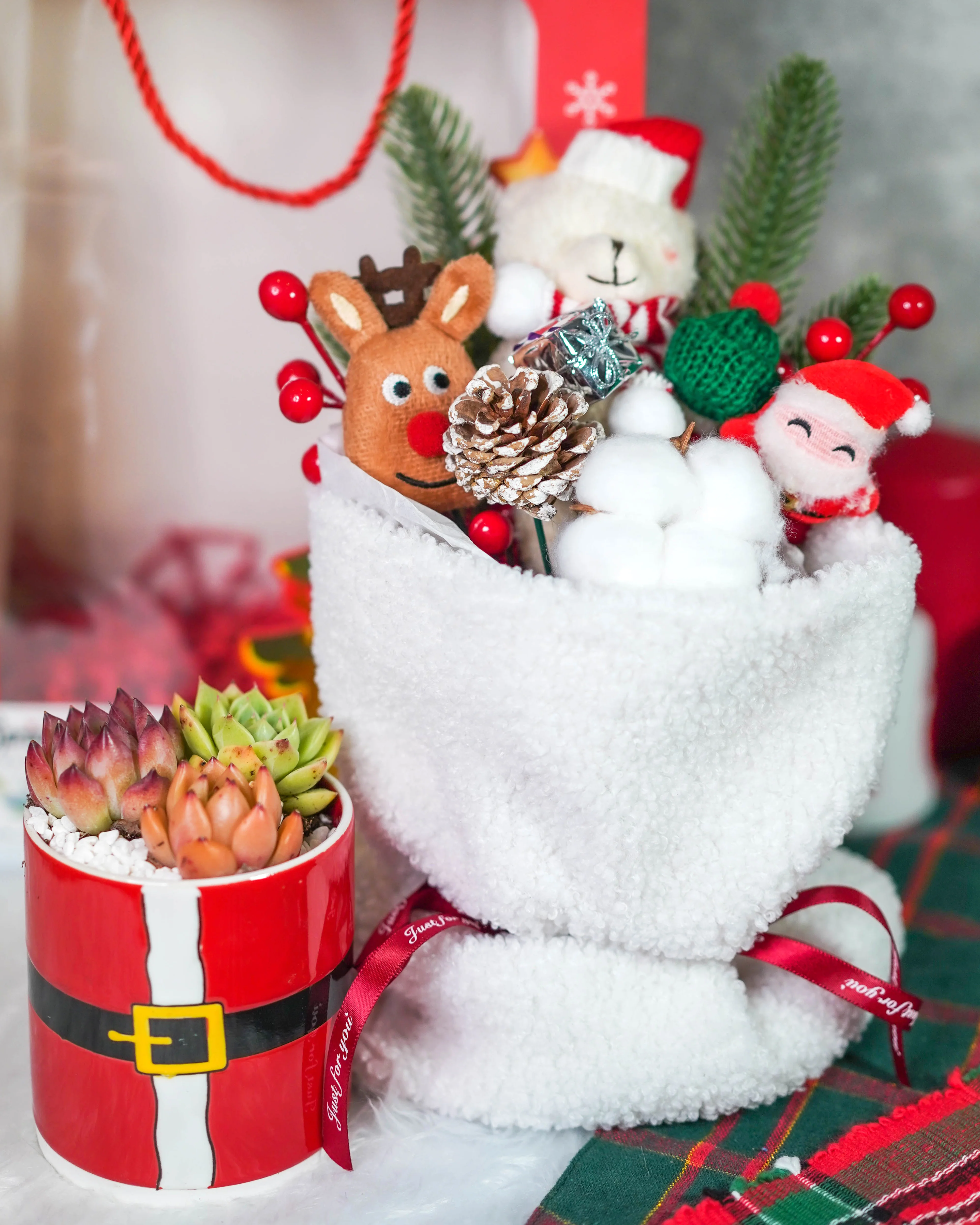 "Santa Bouquet" Korean Succulents Combo - Gift Bag - Image 2
