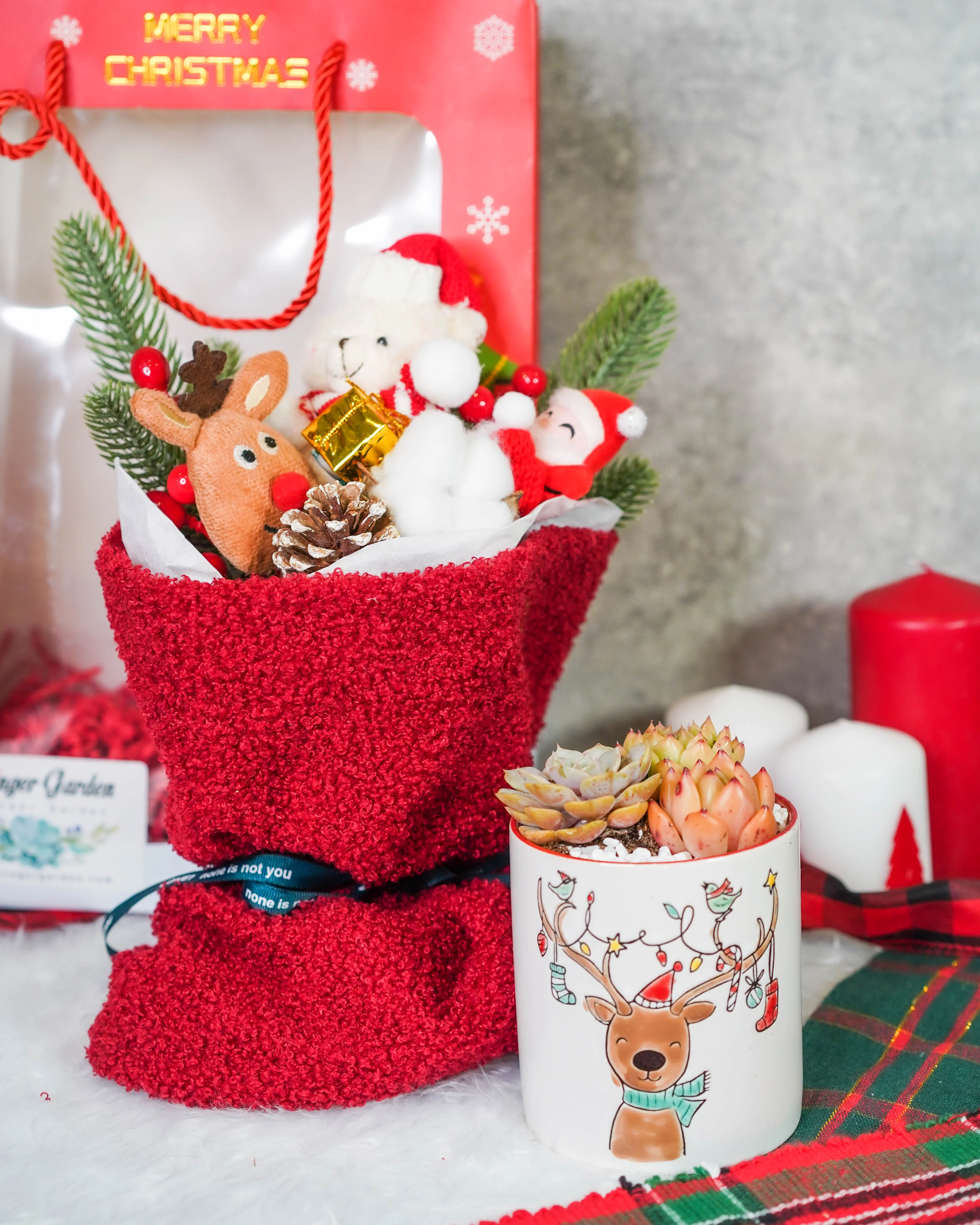 "Santa Bouquet" Korean Succulents Combo - Gift Bag - Image 3
