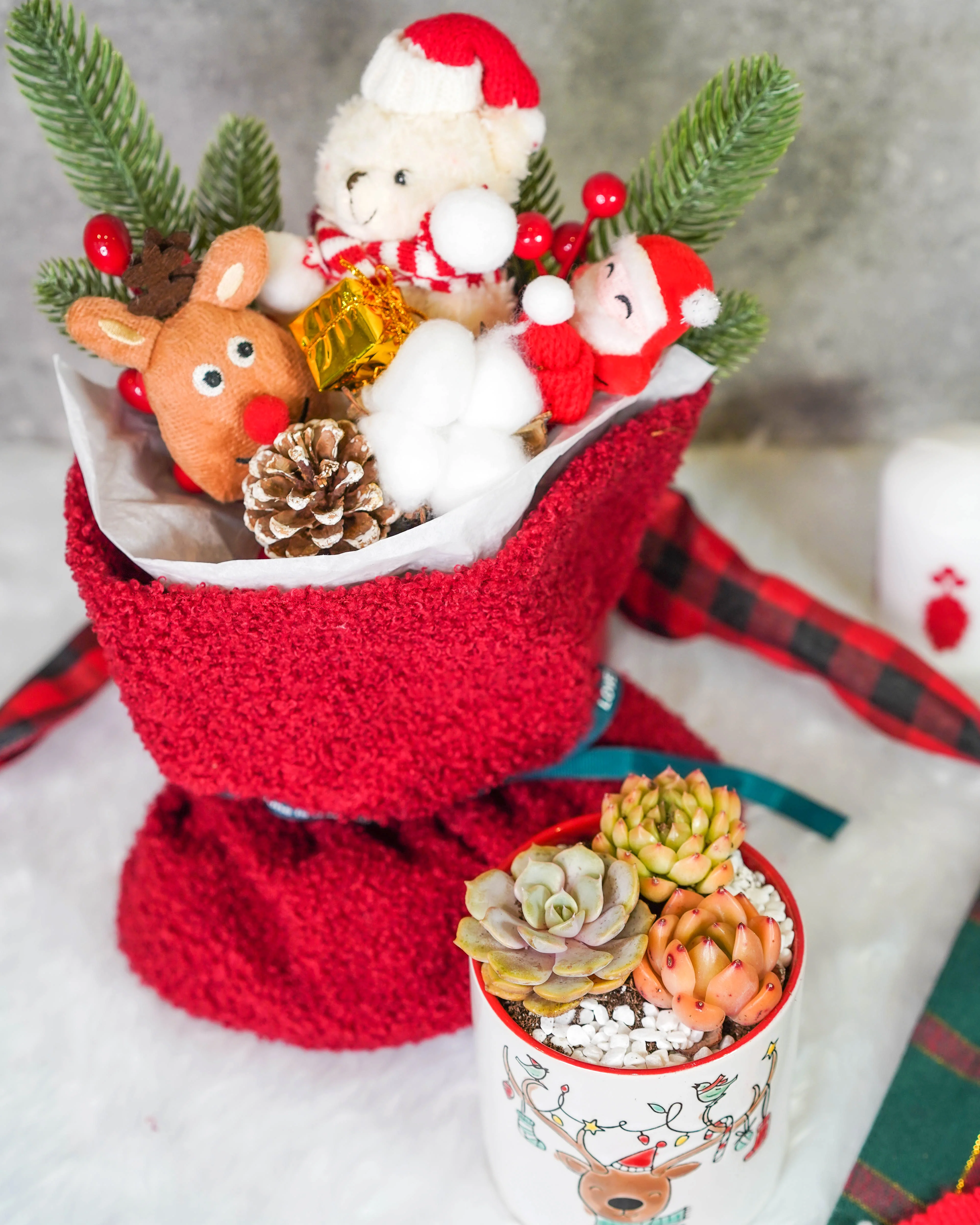 "Santa Bouquet" Korean Succulents Combo - Gift Bag - Image 4