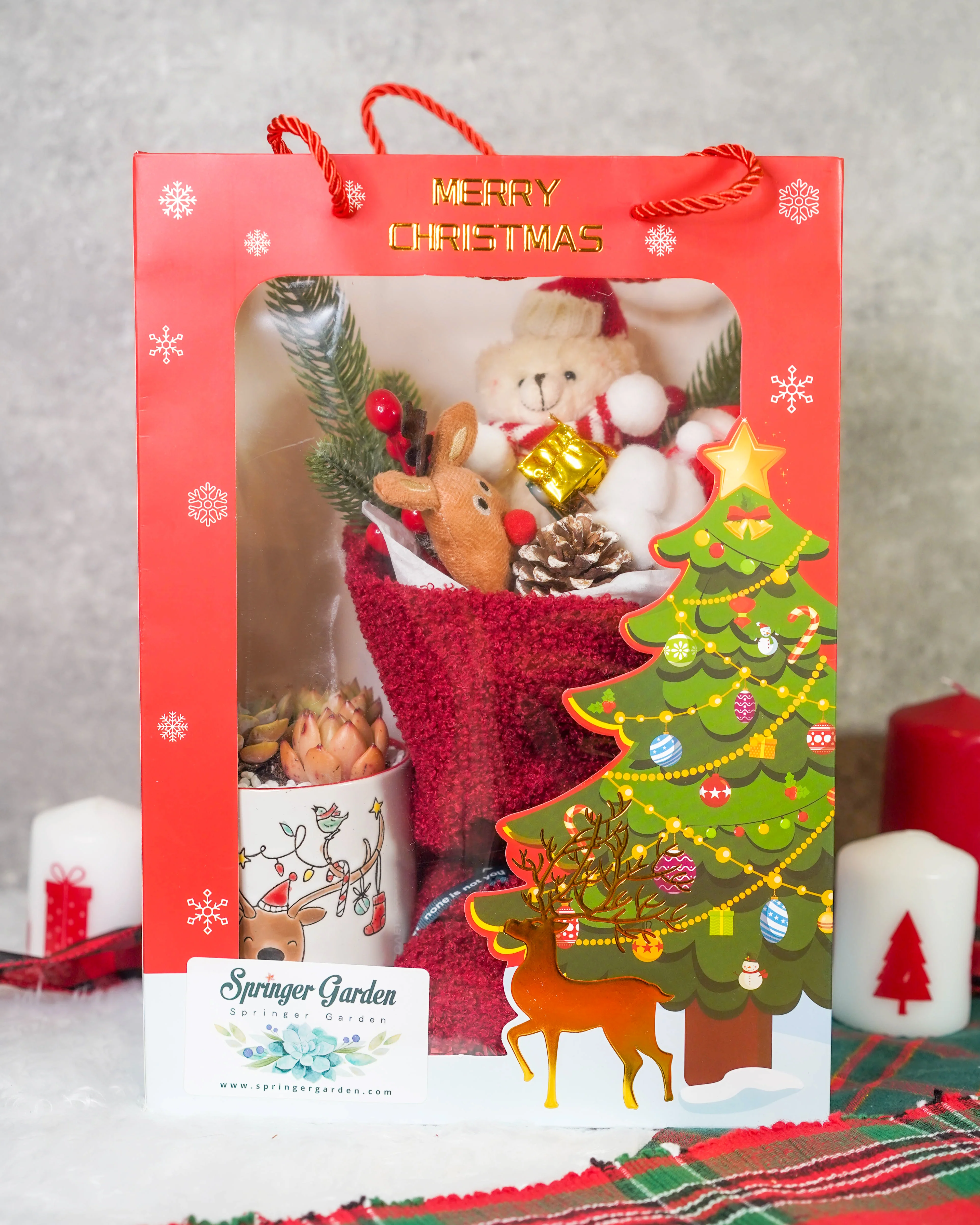 "Santa Bouquet" Korean Succulents Combo - Gift Bag - Image 5