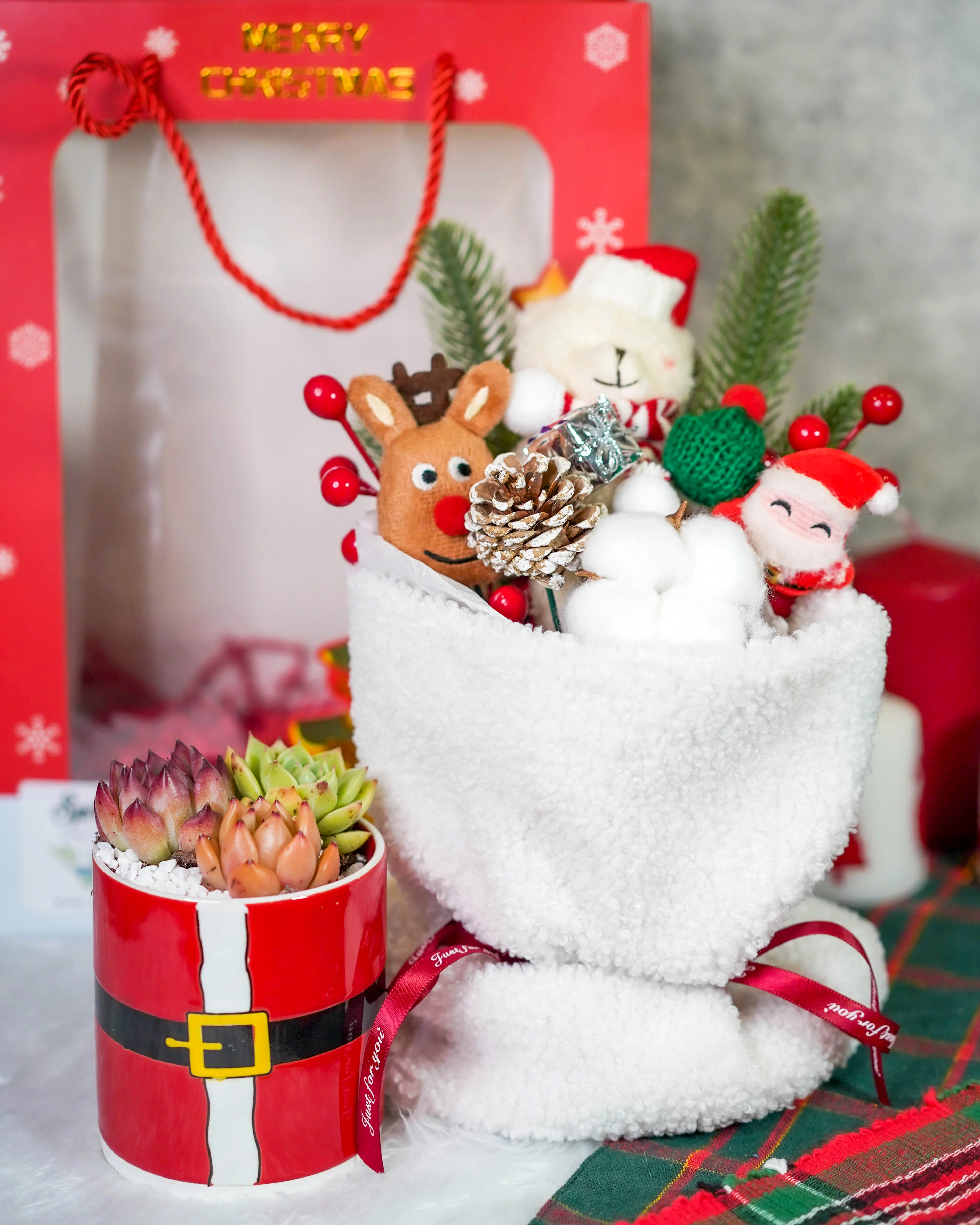 "Santa Bouquet" Korean Succulents Combo - Gift Bag - Image 6
