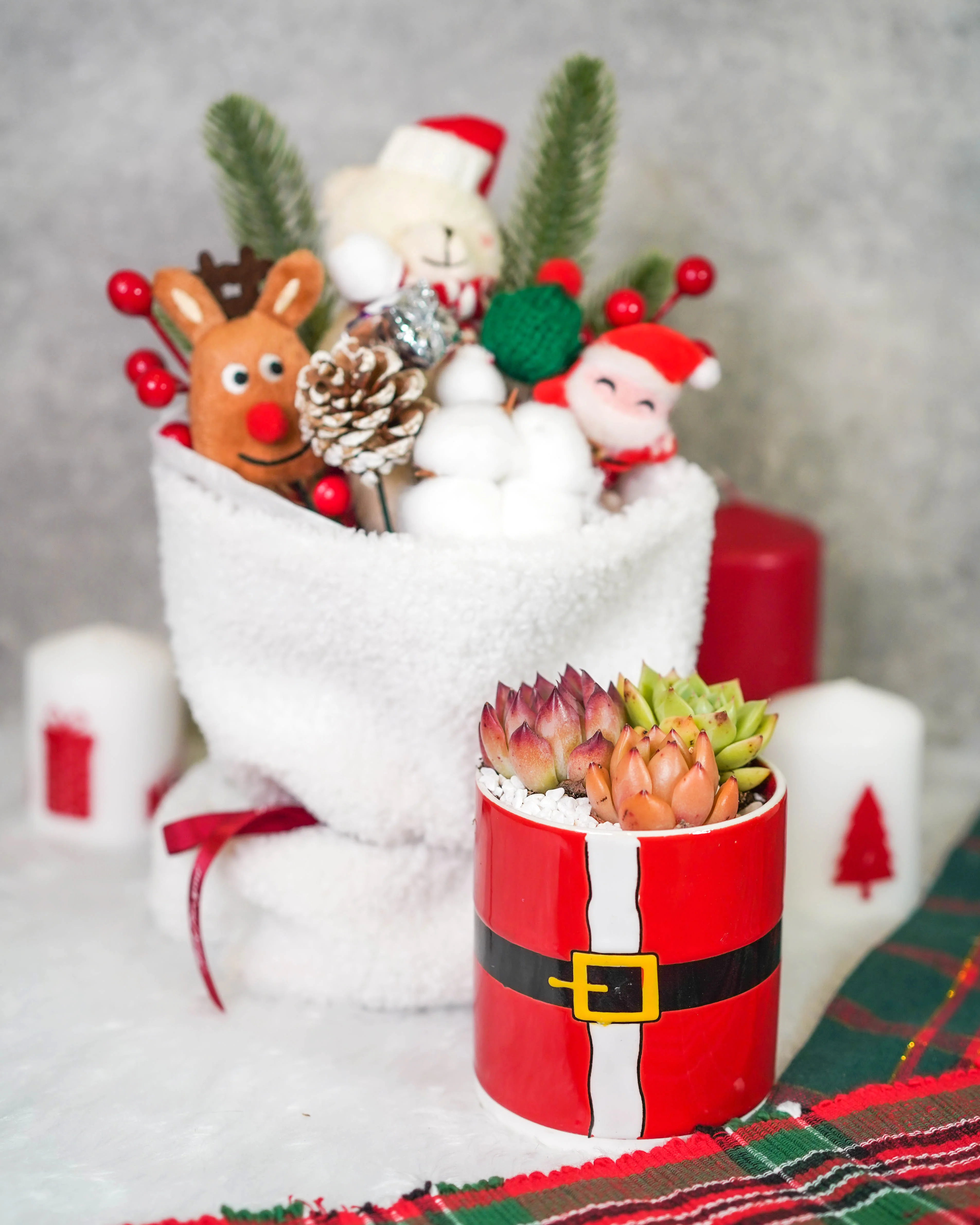 "Santa Bouquet" Korean Succulents Combo - Gift Bag - Image 8
