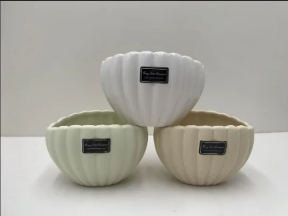 Shell Planter