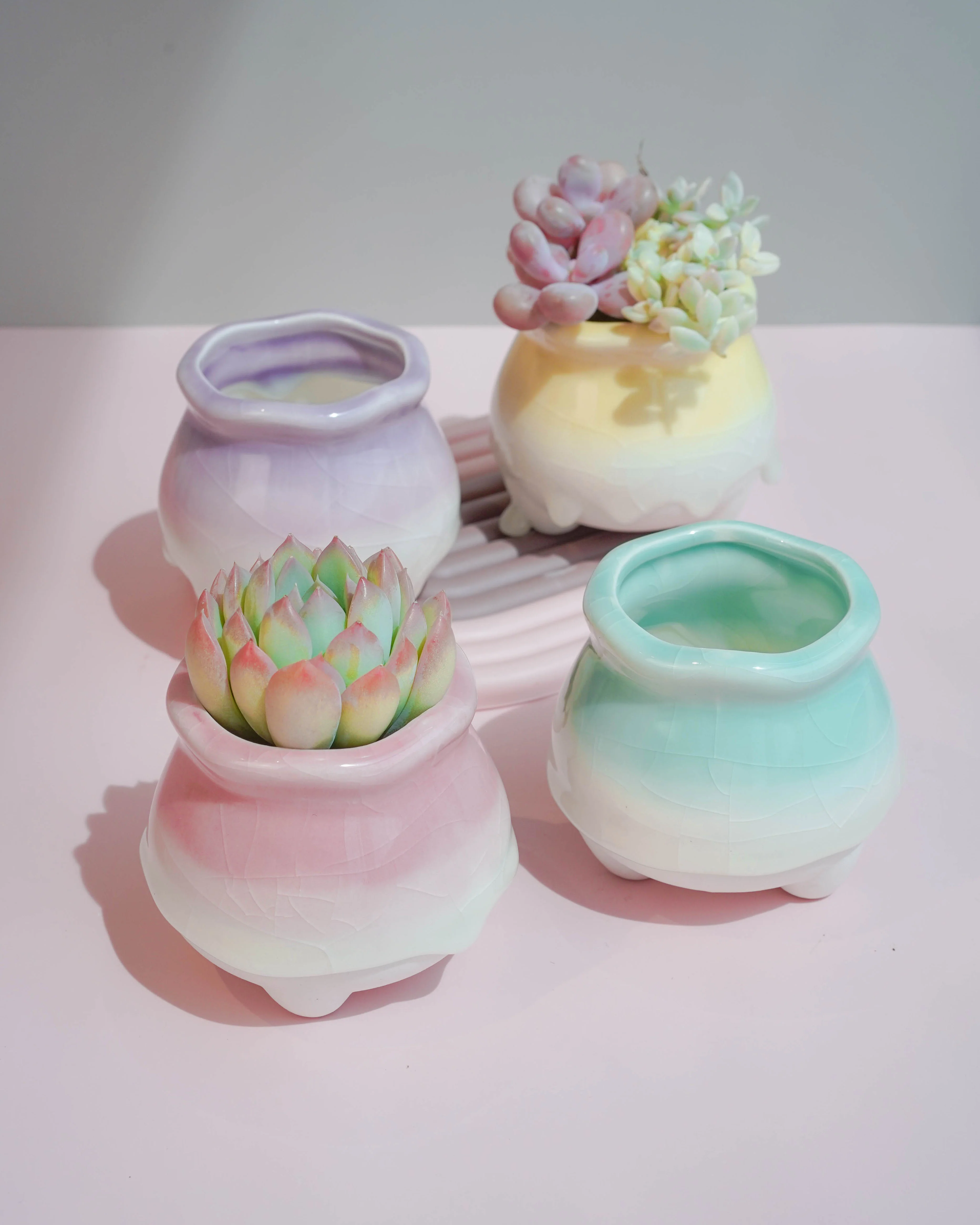 Succulent Assortment with Dripping Texture Planters - Image 3