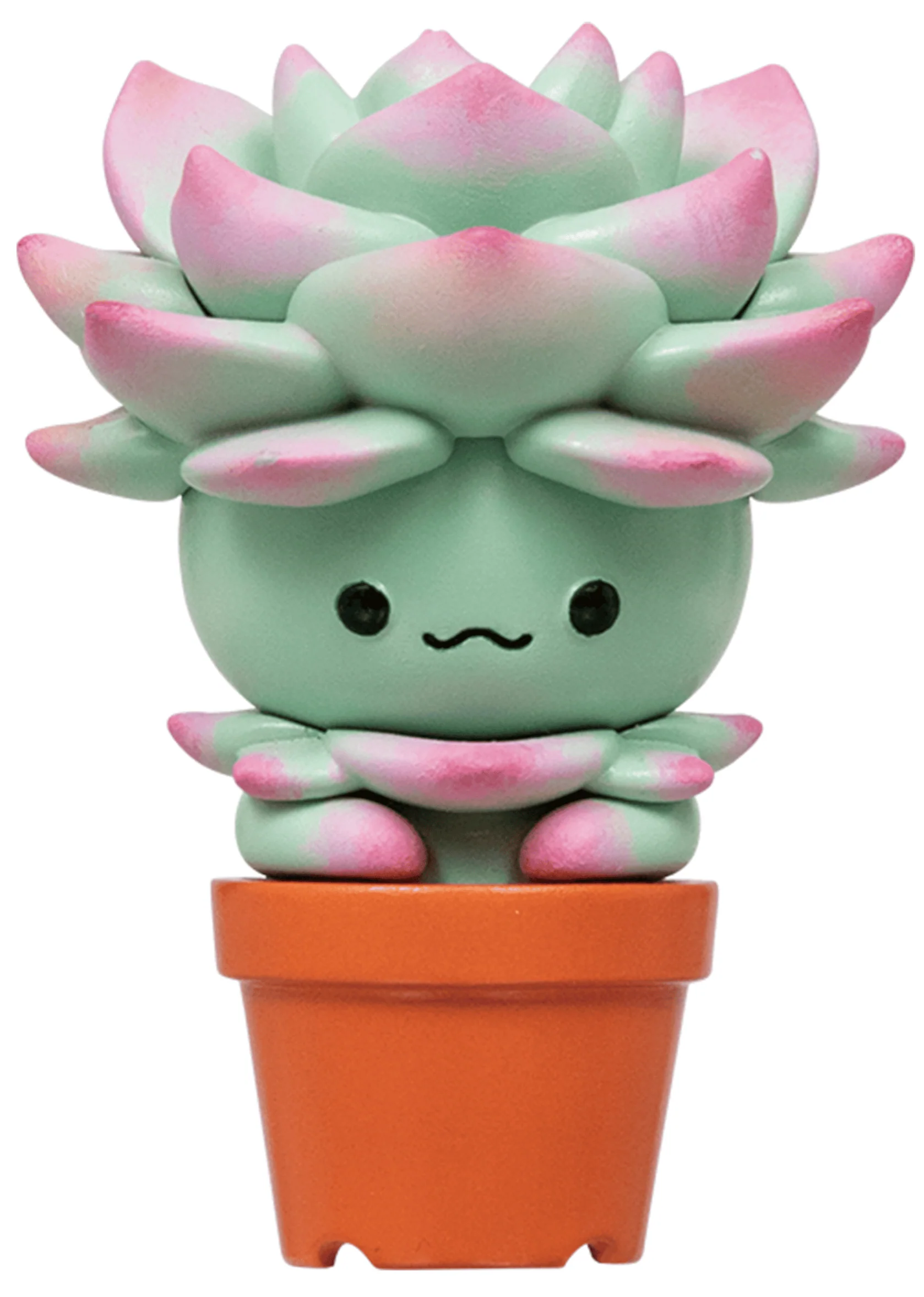 Succulent Friends Blind Box - Image 6