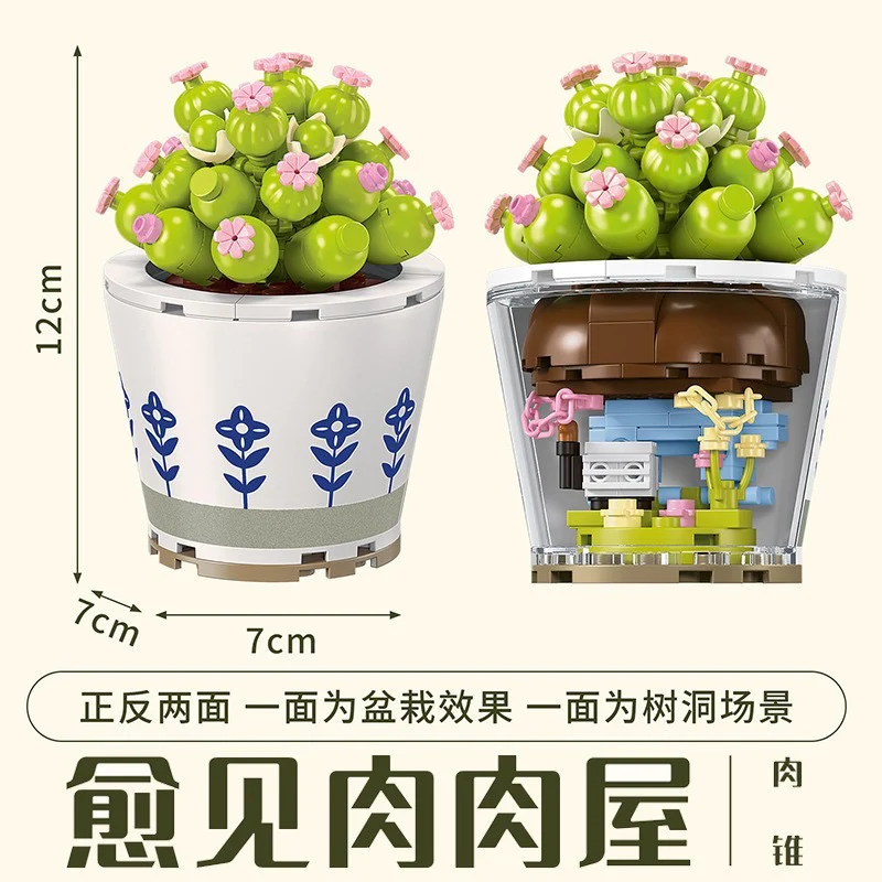 Succulents Plants Blocks - Image 10