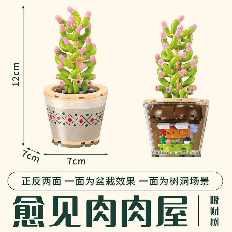 Succulents Plants Blocks - Image 11