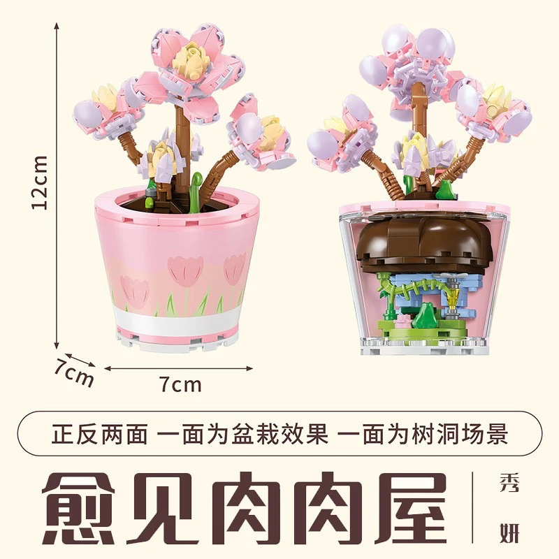 Succulents Plants Blocks - Image 12