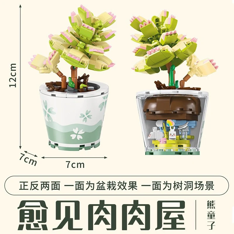 Succulents Plants Blocks - Image 13