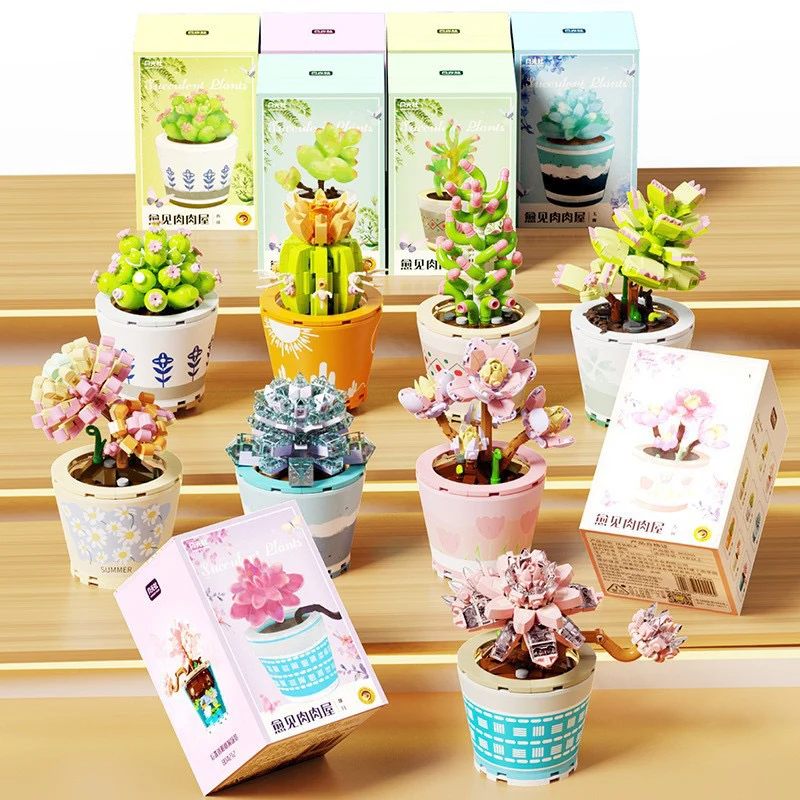 Succulents Plants Blocks - Image 3
