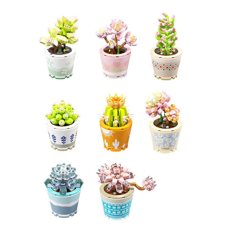 Succulents Plants Blocks - Image 4