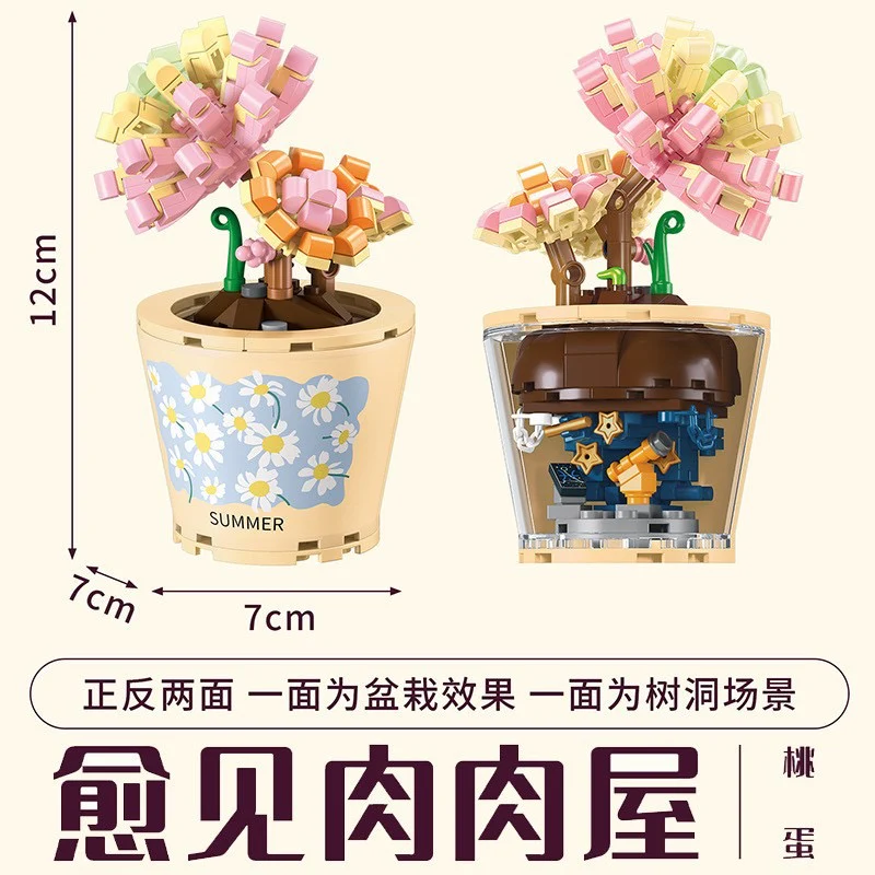 Succulents Plants Blocks - Image 7