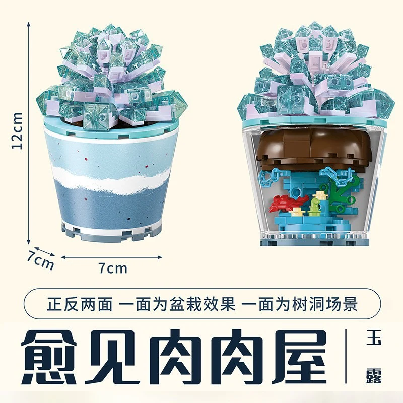 Succulents Plants Blocks - Image 9