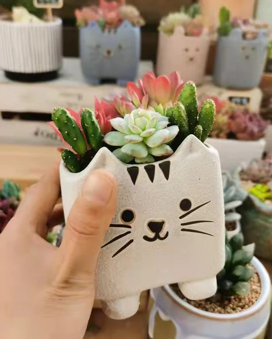 Super-Cute Cartoon Cats Tri-Color Set - Image 3
