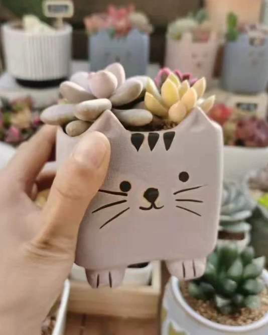 Super-Cute Cartoon Cats Tri-Color Set - Image 6