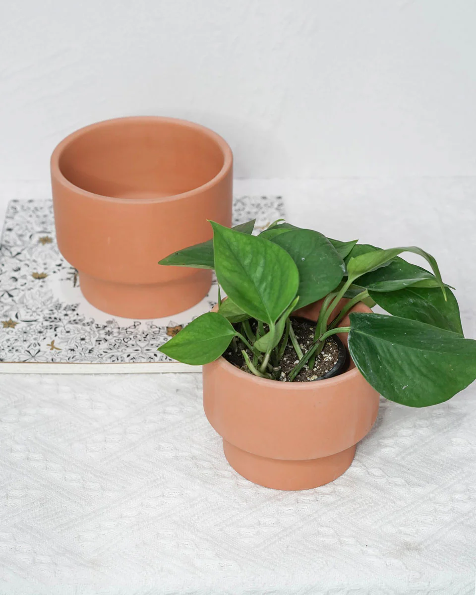 Terra Cotta Planter - Image 3