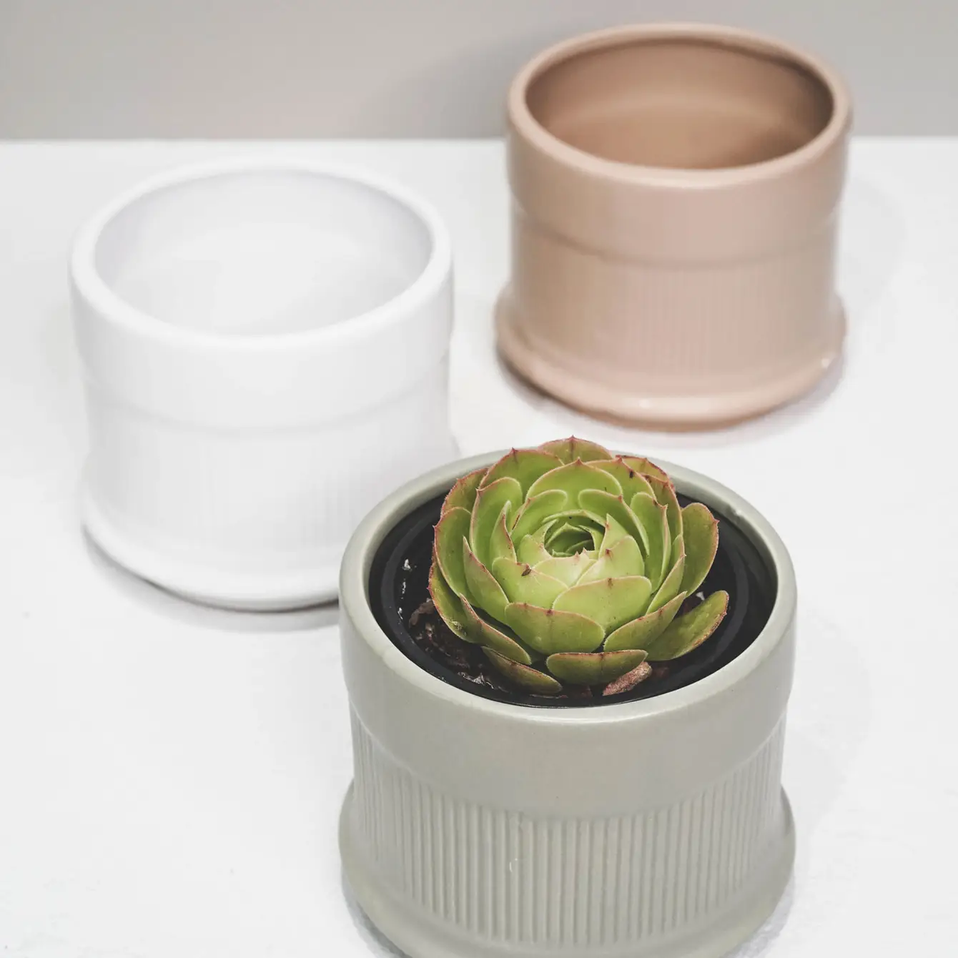 Three Coloured Column Pots