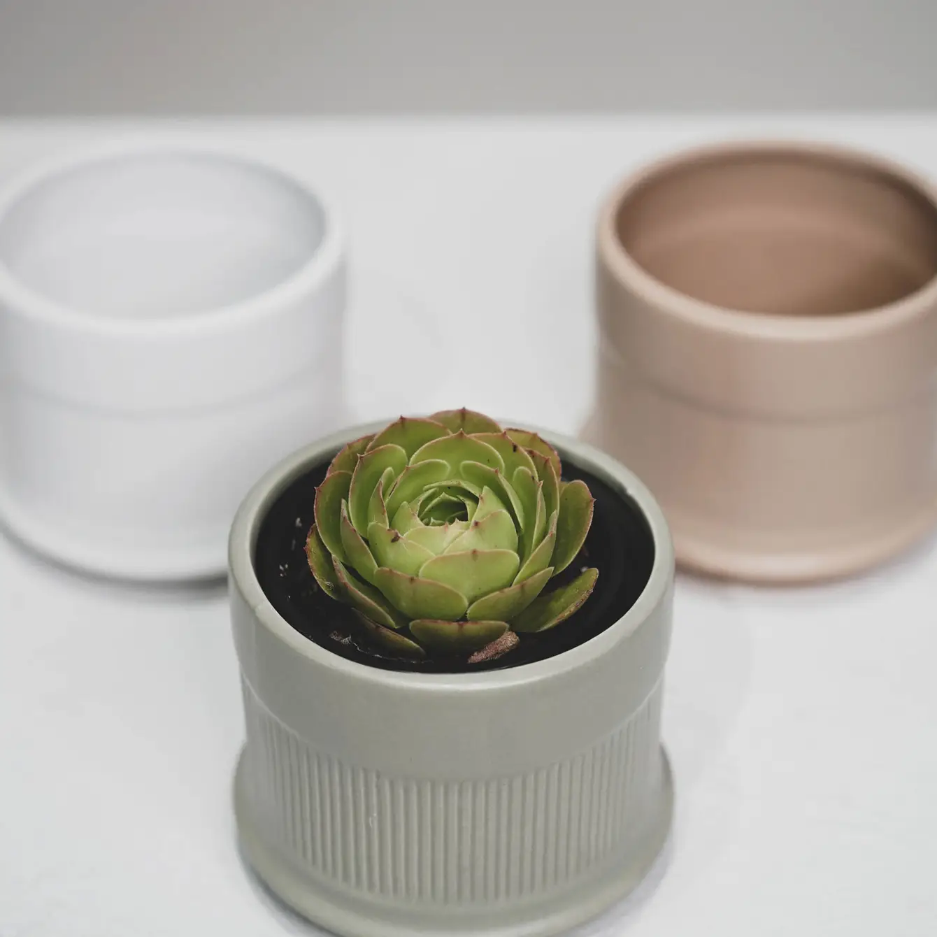 Three Coloured Column Pots - Image 3