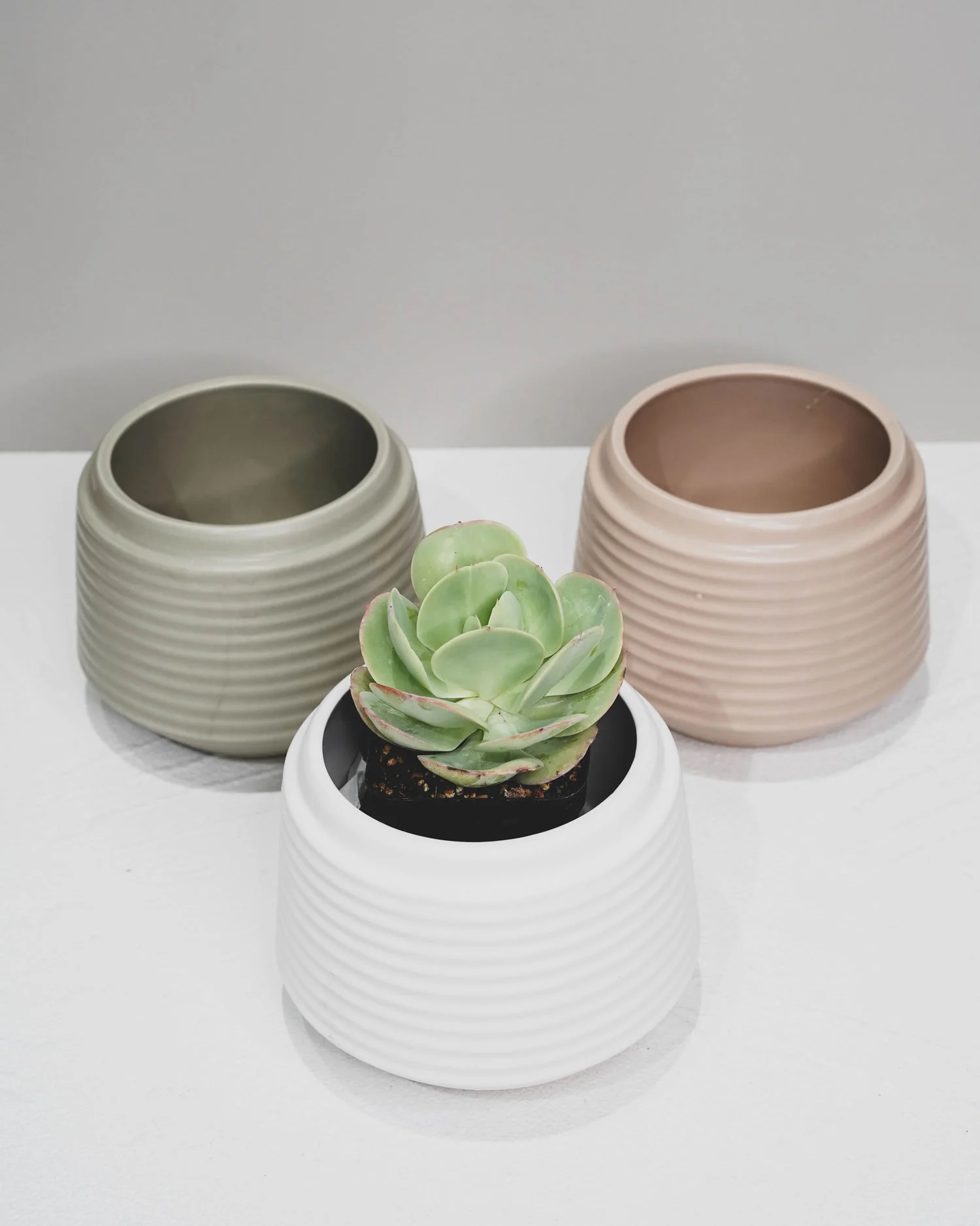 Three Coloured Rippled Pots - Image 4