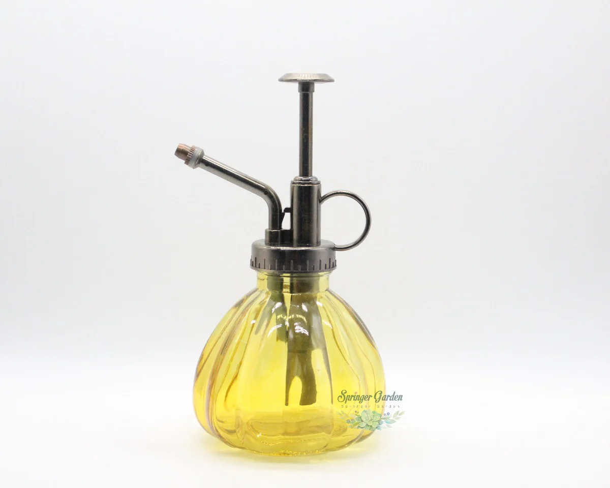 Glass Watering Spray Bottle